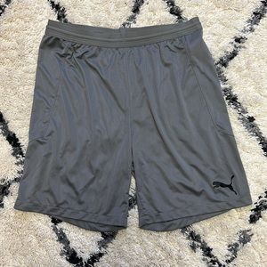 Gray Puma DryCell Shorts size medium
